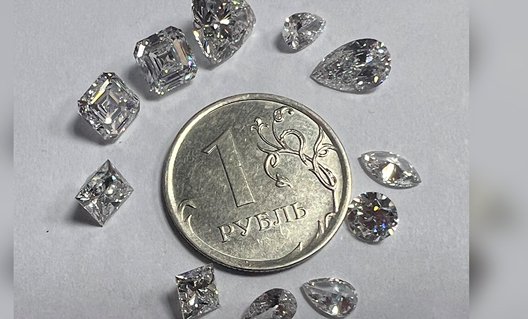 Внуково: более 60 бриллиантов в трусах