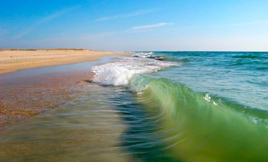 Зафиксирован рекордный уровень солёности Азовского моря
