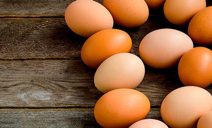 Дон: ФАС начала проверку по росту цен на яйца