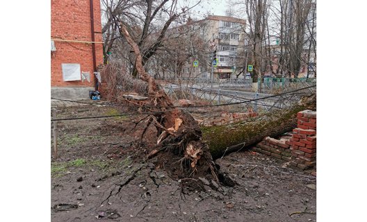Азов, фото недели: дерево, упавшее на углу пер. Коллонтаевский и ул. Кандаурова...